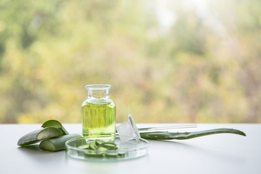 Antioxidant Night Cream - With Hempseed Oil, Green Tea Extract & Marshmallow Extract - BAE SKIN CO